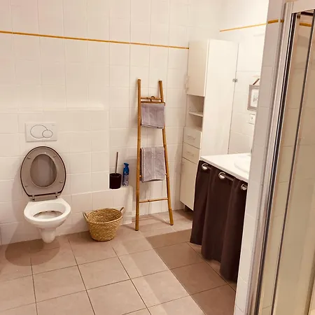 Maison Moderne Avec Jardin