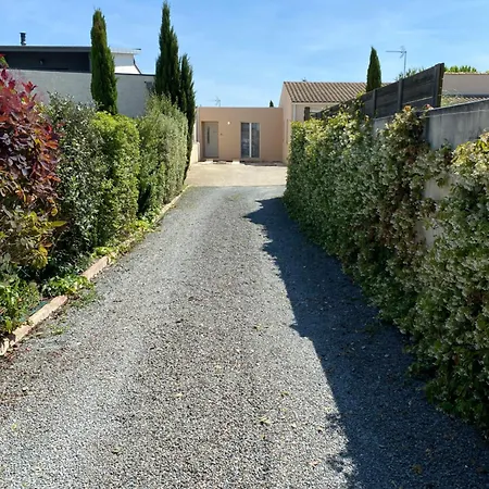 Maison Moderne Avec Jardin