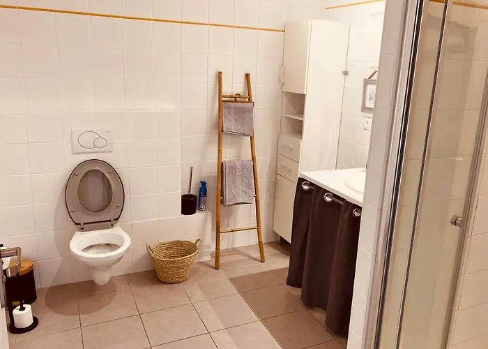 Maison Moderne Avec Jardin