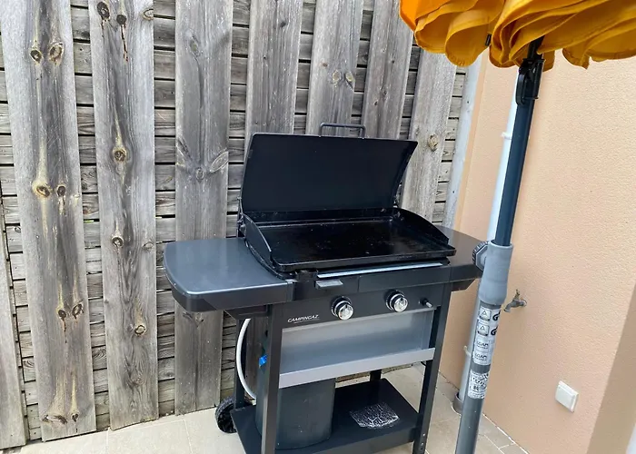 Maison Moderne Avec Jardin *