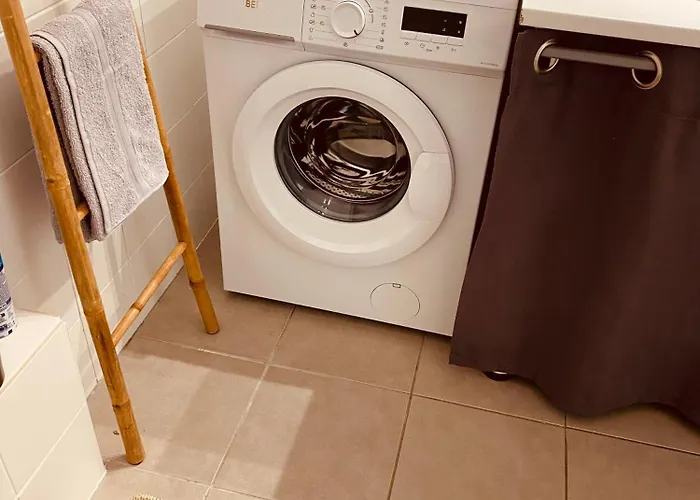 Maison Moderne Avec Jardin