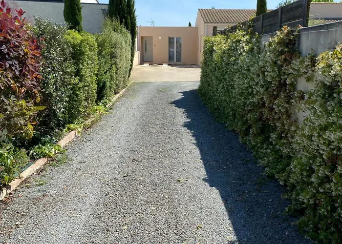 Maison Moderne Avec Jardin